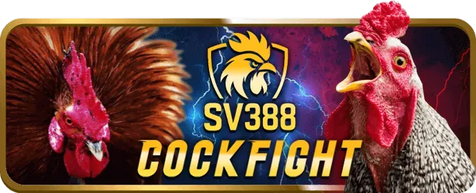 Hỗ trợ khách hàng 24/7 của Win55